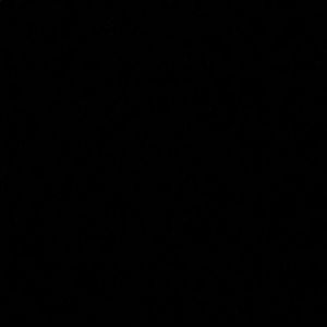 Meet your Posher, Caryenni